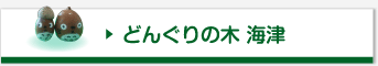 どんぐりの木 海津